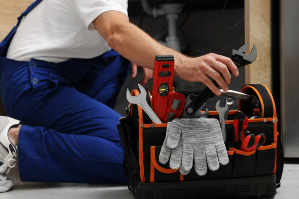 Best Plumbing Inspection Services  in Coalfield, TN