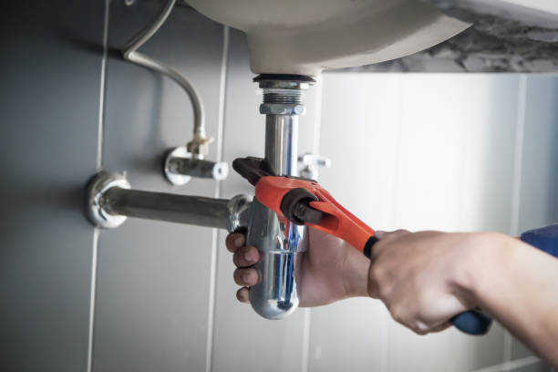 Best Sprinkler Systems  in Coalfield, TN