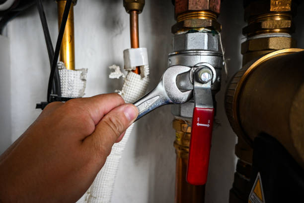 Best Shower Repair Services  in Coalfield, TN